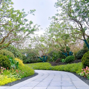 別墅庭院設(shè)計(jì)的后期如何養(yǎng)護(hù)留有余地？